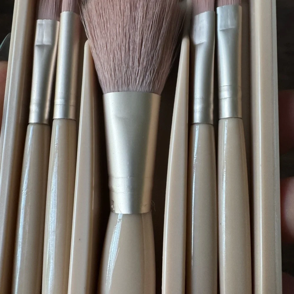 NWT Travel Brush Set In Hard Case